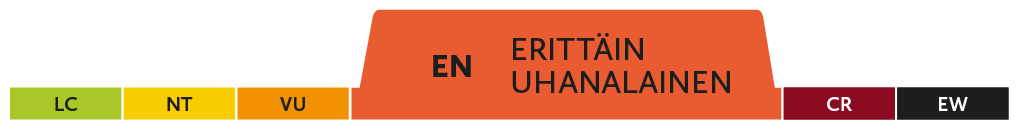 EN - erittäin uhanalainen