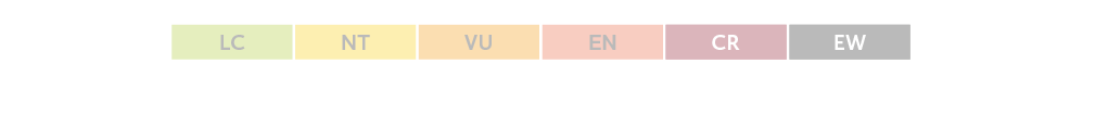 NE - ei arvioitu