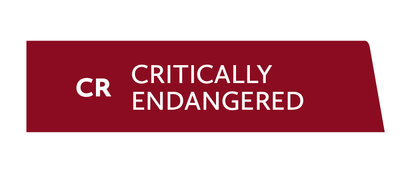 CR - Critically endangered