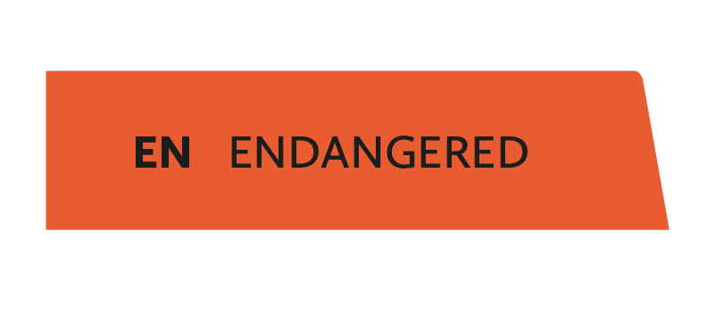 EN - endangered