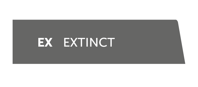 EX- extinct