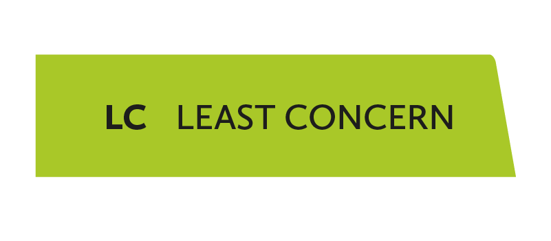 LC - Least Concern