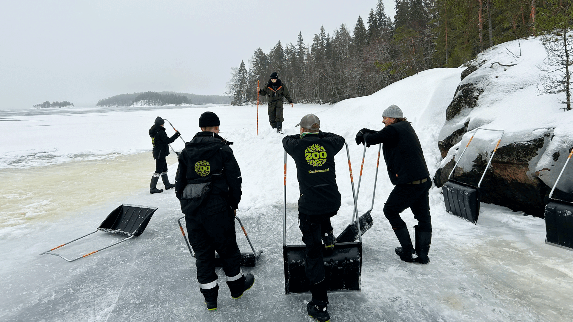 Korkeasaaren henkilökuntaa jäällä kolaamassa apukinoksia saimaannorpille